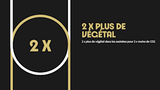 vision restauration 1