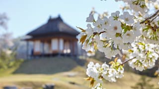 jomc_p_gunma_0000196