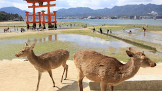 Itsukushima Shrine