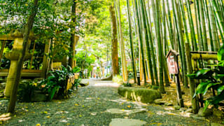 20200528_fugetsuro_17_qj6py4