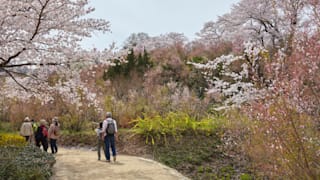 jomc_p_fukushima_0000151