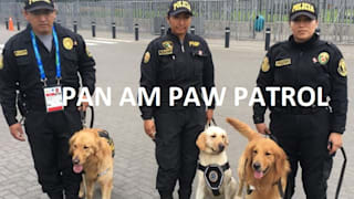 Pan Am Paw Patrol