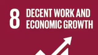 sdg-08