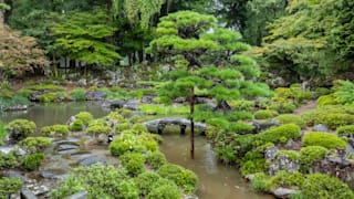 20200905_erinji_temple_36_uebfg8