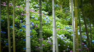 20200618_hasedera_temple_19_zu3aqj