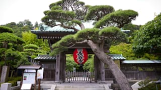 20200618_hasedera_temple_35_poxv7g