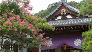 20200831_eikando_zenrinji_temple_07_oyigci