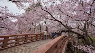 jomc_p_nagano_0000235