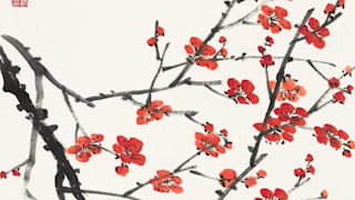 Plum blossom