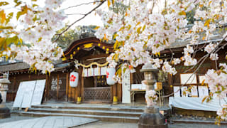 20200404_hirano_shrine_42_hqkxbb