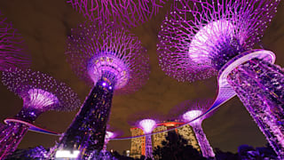The Supertree Grove at Gardens by the Bay (Singapore)