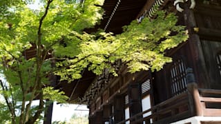 20200831_eikando_zenrinji_temple_26_pz3hwe
