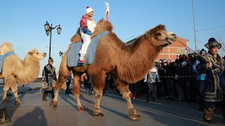 SOCHI 2014 - OLYMPIC TORCH RELAY, CAMEL - DAY 112
