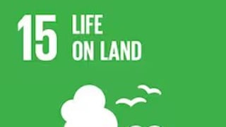 sdg-15