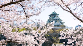 20200407_osakajo_16_reypfa