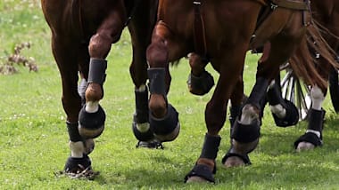 الفروسية | ترويض الخيول اليوم 2 | بطولة العالم لقيادة الخيول | براتوني دل فيفارو