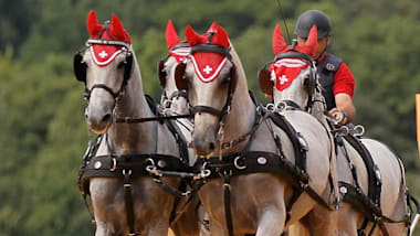 الفروسية | مخروطات | بطولة العالم لقيادة الخيول | براتوني دل فيفارو