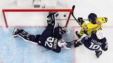 Fanion Pennant Ice Hockey Glace Ijshockey De Wolven Hertogenbosch Wimpel