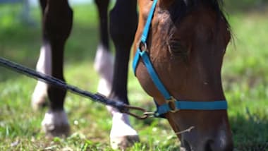 2022 Maeza Grand Prix