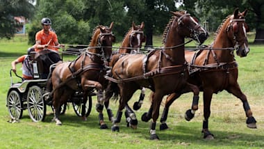 الفروسية | الماراثون | بطولة العالم لقيادة الخيول | براتوني دل فيفارو