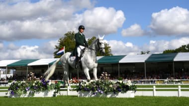 Is Horse Riding an Olympic Sport: Discover the Thrilling Truth