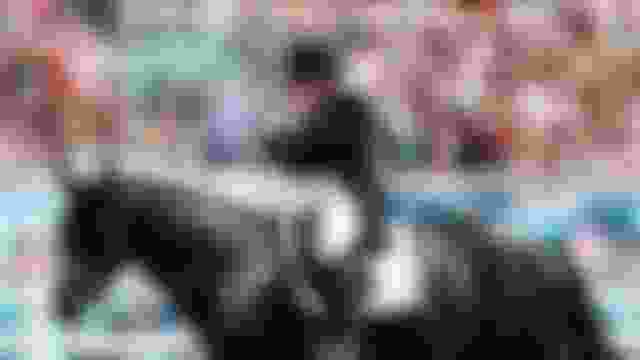 奥运八金得主伊莎贝尔·韦特分享长盛不衰的秘诀、与马匹相处之道以及未来计划