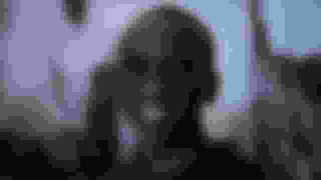 基普乔格独家专访：“我已无须再证明什么”