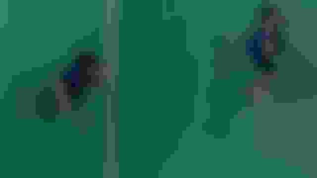 ???? | ??? | ?? ??? ?? | ??