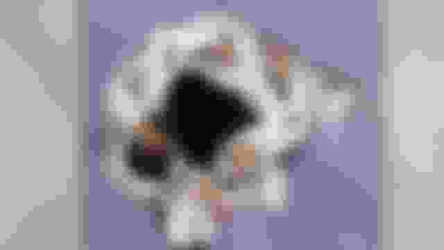 ?? ??? ?? ?? | ?? | 2024 ?? ???