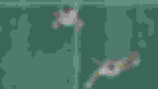 ???????? | ????????? ???? 2 | ??-???? ????? ???????? | ???????