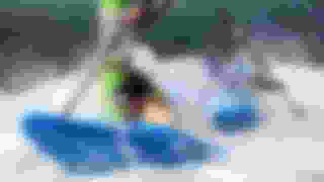 ?? ?? ??? ????, ???, ?? | ?? ??? | 2024 ?? ???