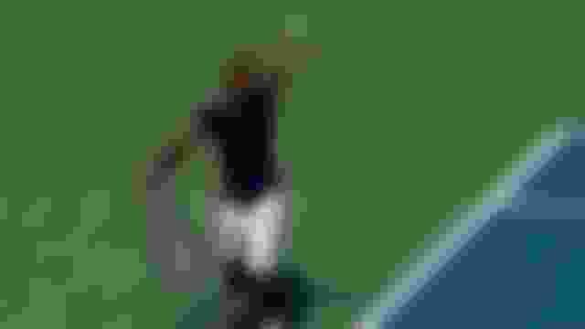 Tennis : Gaël Monfils annonce prendre sa retraite à la fin de la saison 2026