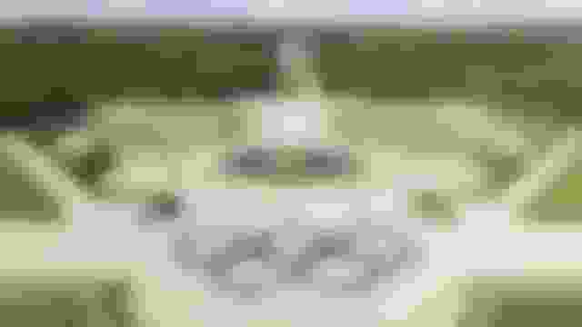 Équitation aux JO de Paris 2024 : au château de Versailles, le cheval est roi