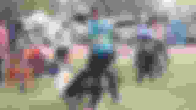 Sheetal Devi: ‘Haven’t been home since starting archery and will only return after the Paralympics’