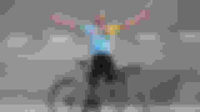 ???? ???????? ??? ?????? ?????? | ???????? ??? ?????? | ????? 2024