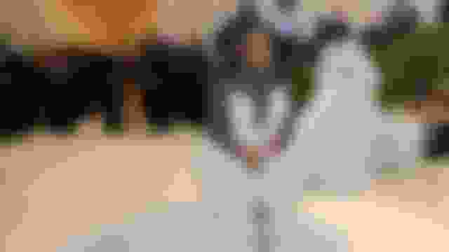 Met Gala 2025 to celebrate 'Black Style' in fashion