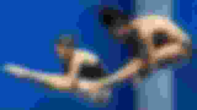Saltos Ornamentais | Final Mista 10m | Jogos Mundiais Universitários da FISU | Berlim