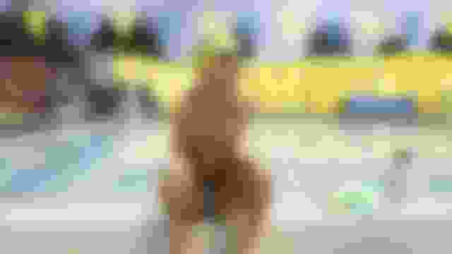 ?? ??????? ?? ?????? ?????????? ??????? ?? ????? 2020: ???? ??? ????????? ????? ????? ????????? ?? ???????