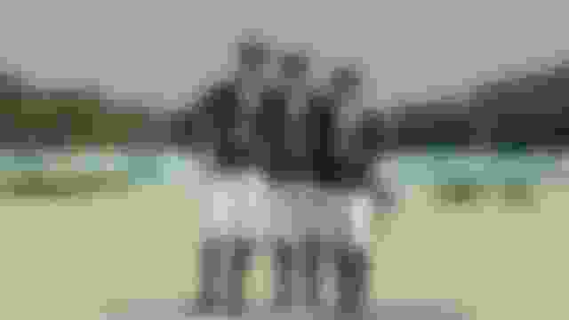 ????????? | ????????????? - ???????? | ?????? ????? ????? 2024