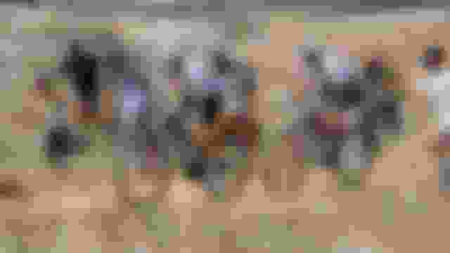 ????????? | ??????? | ????? ??? ???? | ??? ????