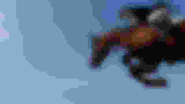 ????????????? | ?????? ?? ?????????? ?????? | ??????????