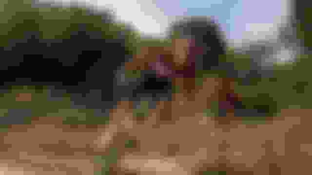 ????????? | ????? 4 | ????? ??? ???? | ??? ????