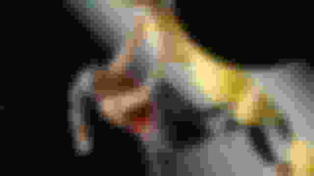 ??????? ?????????? | ???? ???  ?????? ??? ????????? | ?????? ?????????? | ?????