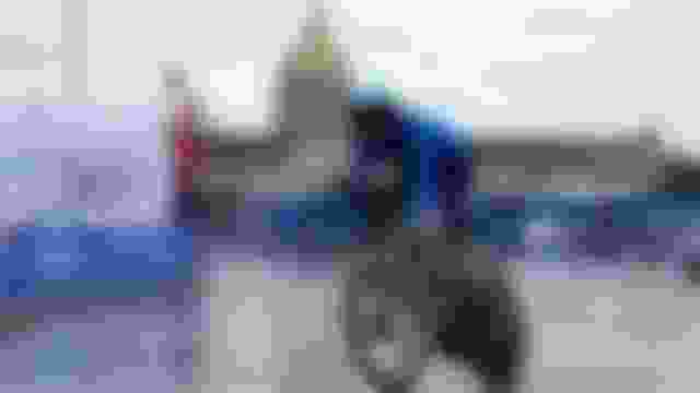 Mondiali di ciclismo e Paraciclismo su strada 2024 a Zurigo: tutti i risultati e le medaglie dell'Italia · LIVE