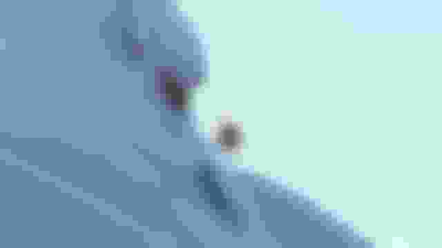 Freeride World Tour | باكيرا بيريت