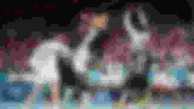 ??????? × ????? - ?????? ??????? ????? | ??? ???? | ????? 2024