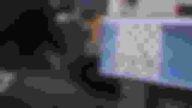 Clasificación del viernes | Ajedrez | Serie olímpica de Esports | Finales | Chess.com | Singapur