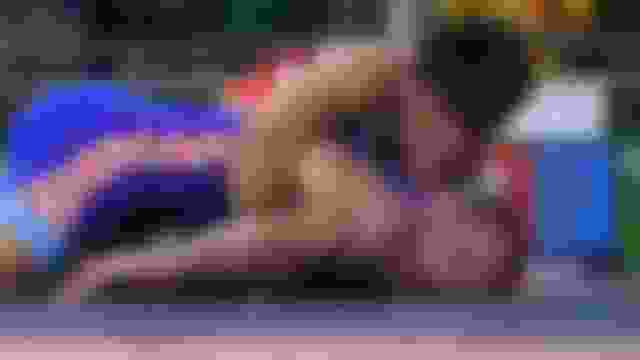 베오그라드 2022 세계레슬링선수권: 일정 알아보기 