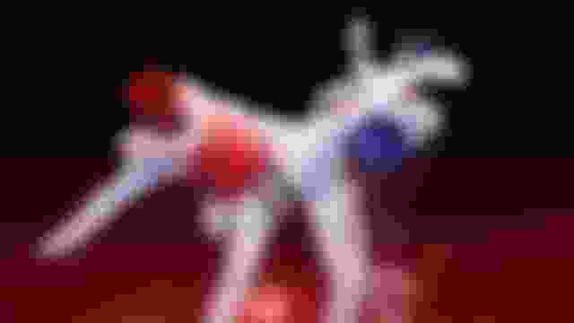 Arti marziali a Parigi 2024: glossario e mini guida alle regole di lotta, judo, pugilato e taekwondo