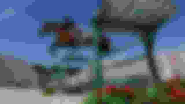 ?????????? ?????? ????? | ????????????? | ?????? ????? ????? 2024